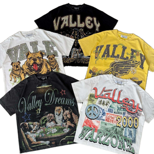 T-shirt personnalisé en coton pour homme, 220 g/m², épais, vintage, délavé à l'acide, col rond, manches courtes, imprimé graphique uni, sérigraphie, tee-shirt OEM - Product Image 1