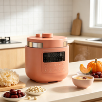 Cuisinière à pression électrique intelligente de 4 litres, panneau tactile, minuterie 24h, taille compacte pour 2 à 4 personnes, vente en gros