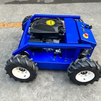 La dernière usine professionnelle de tondeuse à gazon de croisière automatique à roues prend en charge la tondeuse à gazon personnalisée 9HP haute puissance
