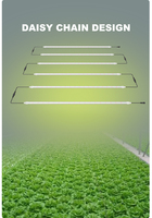 Tube LED de Croissance à Spectre Complet PPFD Élevé pour Légumes, Micro-pousses d'Intérieur, Hydroponie et Ferme Verticale