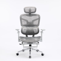 Fauteuil de Bureau Exécutif Moderne et Ergonomique avec Accoudoirs Confortables, Soutien Lombaire et Dossier en Maille Réglable et Pivotant