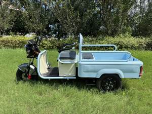 Tricycle Électrique Cargo Mini Moderne Vente en Gros Vélo de Loisirs Électrique à 3 Roues <span class=keywords><strong>pour</strong></span> Adultes 60V20AH - Product Image 4