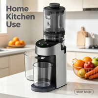 OEM Citrus- en groentesapcentrifuge met gaasfilter, slowjuicer, krachtige DC-motor, eenvoudig te reinigen, hoge opbrengst, sapcentrifuge met aangepaste logo's