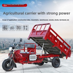 Motocicleta <span class=keywords><strong>de</strong></span> <span class=keywords><strong>Tres</strong></span> <span class=keywords><strong>Ruedas</strong></span> con Motor a Gasolina Certificada EEC Triciclo <span class=keywords><strong>de</strong></span> Carga Pesada para Uso Doméstico y Agrícola - Product Image 5