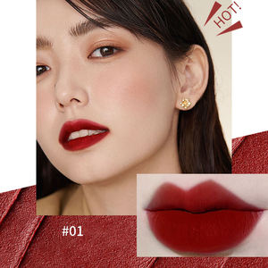 Nouveau rouge à lèvres personnalisé pas <span class=keywords><strong>facile</strong></span> à coller pas <span class=keywords><strong>facile</strong></span> à décolorer boue à lèvres ne pas sécher velours mat glaçure à lèvres - Product Image 5