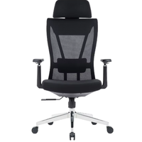 Chaise de bureau exécutive ergonomique moderne et contemporaine en maille avec accoudoirs réglables et fonction pivotante