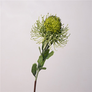 Fatto a mano naturale Protea fiore testa singola 12CM di diametro per la laurea di nozze natale e capodanno cinese - Product Image 4