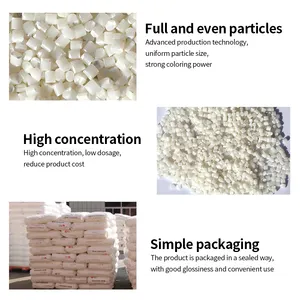 Masterbatch Filler White Pc Plastic Masterbatch Manufacturer's Direct Sales Biodegradable Colorants Materials