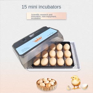 Incubateur automatique 15 œufs, neuf, en PP, pour usage domestique, mini, pour canards, oies, oiseaux, usage général, type valise/œufs - Product Image 5