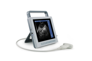 Échographe vétérinaire compact haute performance Kaixin pour diagnostic abdominal et reproductif - Product Image 4