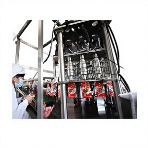 Équipement <span class=keywords><strong>de</strong></span> Traitement Automatisé et Personnalisable pour la Concentration <span class=keywords><strong>de</strong></span> Sauce Tomate, Ensemble Complet pour le Remplissage <span class=keywords><strong>de</strong></span> Miel/Pâte <span class=keywords><strong>de</strong></span> <span class=keywords><strong>Poire</strong></span>/Sauce Pimentée - Product Image 2