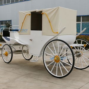 Venta Directa de Fábrica Nuevo Carro Eléctrico Plegable Personalizado Estilo Europeo Royal Simple para Turismo - Product Image 1