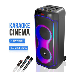 CQS-S6611 Enceinte DJ professionnelle double 8 pouces en plastique avec éclairage RGB, 2 microphones sans fil, promotion usine, grand karaoké - Product Image 1