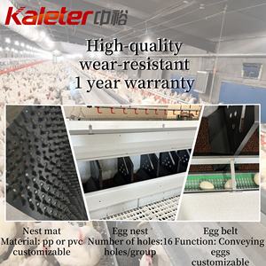 Nidales Zhongyu Kaleter para Gallinas Ponedoras de Corral con Recolección Automática de Huevos Rodantes - Product Image 4