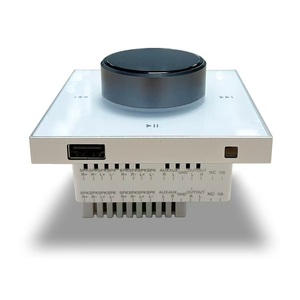 2026 Music Center Control Panel 86K-2 86*86mm <strong>Background</strong> Music Host Connect with Wired Ceiling Speakers Music Amplifier Panel - Product Image 4