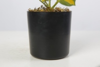 OEM/ODM Bonsaï Artificiel De Plantes Mini Plantes Artificielles Arbre Artificiel Décoration D'intérieur