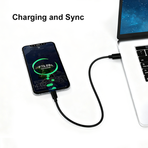 Hoge Kwaliteit Tpe Type C Naar Type C 3a Snel Opladen Usb-Kabel 50Cm Draagbare Datakabel Voor Slimme Telefoons En Horloges Power <span class=keywords><strong>Bank</strong></span> - Product Image 4