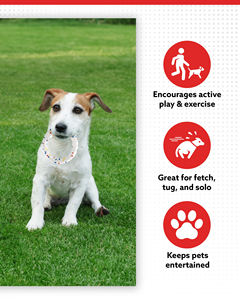 Disque volant interactif et écologique en ETPU pour l'extérieur, jouet de dressage pour chien, jouet à mâcher indestructible résistant aux morsures - Product Image 3