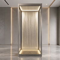 Nouvelle cabine d'ascenseur résidentielle personnalisée en métal avec panneau de plafond, éclairage d'ambiance et miroir pour villa et maison