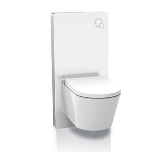 China fabricar vaso sanitário vidro cisterna banheiro banheiros pneumático flush gabinete toalete água tanque