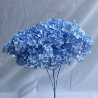 Fleur séchée naturelle de qualité supérieure, Hortensia Anna, toucher réel, cadeau pour la Saint-Valentin, Noël, décoration d'intérieur