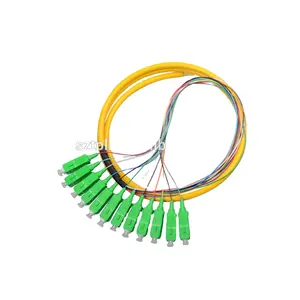 Hoge Kwaliteit Optische Vezel 12 Cores 12F 9 125 0.9Mm Sc Apc Pigtail, singlemode Sc Apc Ftth Glasvezel Pigtail Sc Apc