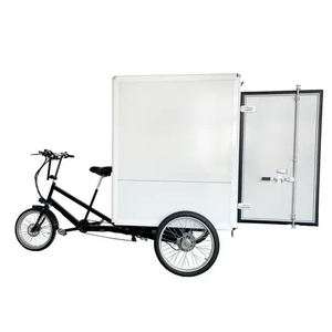 Bicicleta de carga eléctrica de 850W, bicicleta de carga, Bakfiets con caja trasera, freno de disco hidráulico, caja trasera, <span class=keywords><strong>Velomobile</strong></span> - Product Image 3