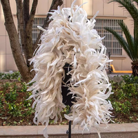 Boas de plumes de coq teintes de 2 mètres pour décorations de carnaval, de festivals et accessoires vestimentaires