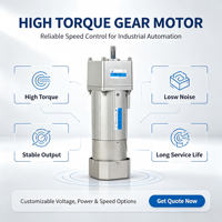 60W Tek Fazlı 220V Mini Dişlili Motorlar Izgara için Helikal Dişli Hız Düşürücü Dişli Kutusu Parçaları Üreticisi