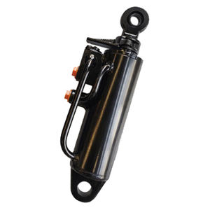 Cilindro Hidráulico de Elevación Trasero para Tractor Ever-power HSG63/35*120-301 con Bomba de Motor y Engranaje - Product Image 6