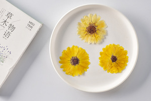 Fournitures pour la création de cartes Marigold <span class=keywords><strong>Cosmos</strong></span>, bijoux en résine, fleurs séchées pressées naturelles, écologiques - Product Image 2