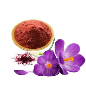 Hot Sell High Quality Saffron Extract Powder