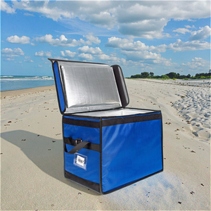 Bolsa refrigeradora aislada, paquete de hielo, bolso fresco portátil, caja térmica para <span class=keywords><strong>almuerzo</strong></span>, caja de Picnic, caja de almacenamiento para vehículos, bolsa refrigeradora para pasteles - Product Image 1