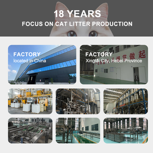 Lettiera per Gatti OEM/ODM a Base di Cassava 2,5kg, Campioni Gratuiti, Bassa Dispersione, Facile da Raccogliere, Lettiera Vegetale - Product Image 5