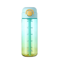 Vente en gros de bouteilles d'eau potable portables les plus populaires avec logo de marque personnalisé couleurs dégradées bouteilles d'eau en plastique sport 600ml