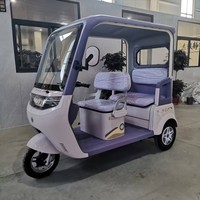 Vélo-taxi électrique haute puissance du fabricant direct, avec auvent intégré, sièges double rangée élargis, plaque d'immatriculation incluse