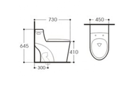 ORTONBATH Inodoro Inteligente de Cerámica de Alta Calidad con Tanque Bajo, Bidé Dorado, Conjunto de Inodoro de Una Pieza
