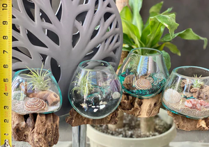 Vaso per decorazioni per la casa contenitori per terrari a forma rotonda in vetro OEM vaso di vetro terrario con Base in legno a tema spiaggia terrario per piante fai da te - Product Image 3