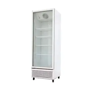 大容量商用展示冰柜单玻璃门立式冰柜直冷冰柜