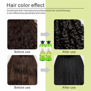 Màu Sắc Tự Nhiên Tóc Gel Chiết Xuất Táo 500Ml * 2 Chuyên Nghiệp Màu Đen Tóc Kem Mẫu Miễn Phí Thuốc Nhuộm Tóc Màu Vĩnh Viễn Phụ Nữ Và Nam Giới - Product Image 4