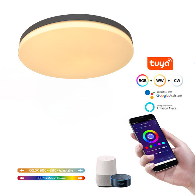 Odm Rgb Ceil Light Ceiling Light Zegbee Smart Lamp Lome Light Tuya App Control Cct Dimming Flicker Free CE