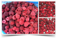 Frambuesas Congeladas IQF al por Mayor, Frutos Rojos Congelados Individualmente para Procesamiento de Alimentos
