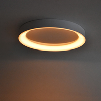 Plafonnier encastré OEM personnalisé de 12 pouces 20W 2700K-6000K avec veilleuses, intensité réglable, idéal pour cuisine, salon, chambre à coucher