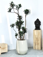 Pot Bunga Lantai Kaliber Besar Gaya Wabi-Sabi Ramah Lingkungan Modern Sederhana Mewah dari Tanah Magnesium untuk Tanaman Hijau Bengal Ficus