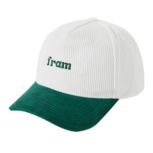 Fashion High Quality <b>Waterproof</b> Sports Streetwear Custom Corduroy Baseball Cap Outdoor Dad <b>Hat</b> with Fruit Pattern - Product Image 4