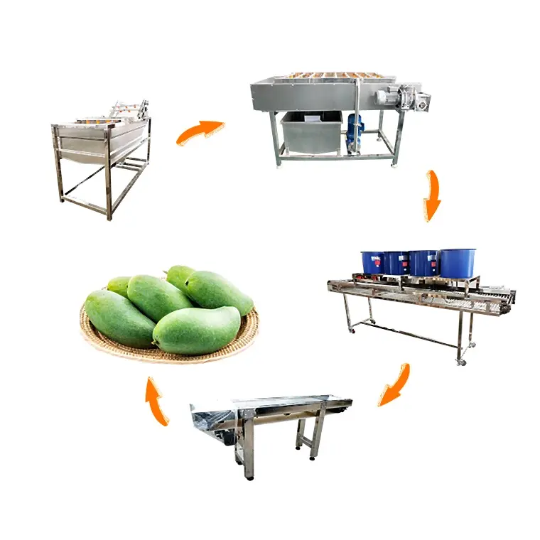 High Output Citrus Fruit Orange/Lime/Lemon/Kumquat/Washing Waxing Machine/Washer Processing Line