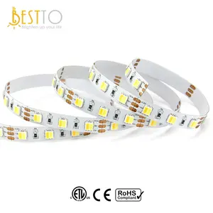 Alta CRI bianco dinamico CCT 12/24 V 2 in 1 bicolor 60LED 5050 strisce flessibili luci led