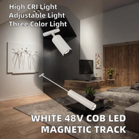 Système d'éclairage sur rail magnétique LED COB 48V blanc moderne, réglable, 2 fils, encastré, finition noire, dimmable