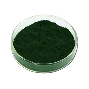 Natural Food Grade Chlorophyll Powder Pigment Powder