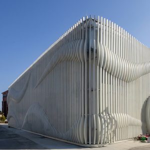 Façade à lames en aluminium imitation bois pour mur-rideau, revêtement extérieur, panneau mural pour bâtiment moderne - Product Image 6